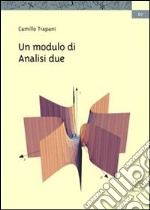 Un modulo di analisi 2