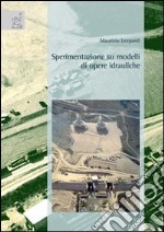 Sperimentazione su modelli di opere idrauliche libro