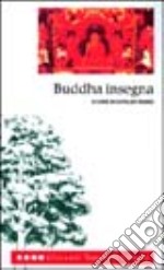 Buddha insegna libro