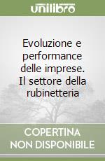 Evoluzione e performance delle imprese. Il settore della rubinetteria libro