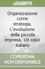 Organizzazione come strategia. L'evoluzione della piccola impresa. Un caso italiano libro