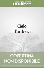 Cielo d'ardesia libro