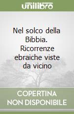 Nel solco della Bibbia. Ricorrenze ebraiche viste da vicino