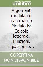 Argomenti modulari di matematica. Modulo B: Calcolo letterale. Funzioni. Equazioni e sistemi di 1° grado. Per gli Ist. professionali per i servizicommerciali libro