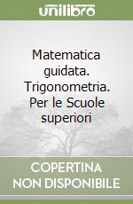 Matematica guidata. Trigonometria. Per le Scuole superiori libro