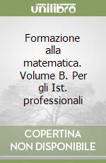 Formazione alla matematica. Volume B. Per gli Ist. professionali libro