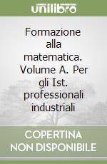 Formazione alla matematica. Volume A. Per gli Ist. professionali industriali libro