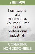 Formazione alla matematica. Volume C. Per gli Ist. professionali industriali libro