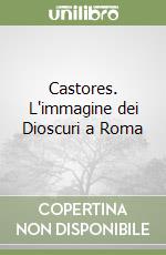 Castores. L'immagine dei Dioscuri a Roma libro
