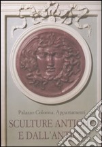 Palazzo Colonna. Appartamenti. Sculture antiche e dall'antico. Ediz. illustrata libro