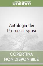 Antologia dei Promessi sposi libro