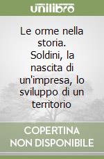 Le orme nella storia. Soldini, la nascita di un'impresa, lo sviluppo di un territorio libro