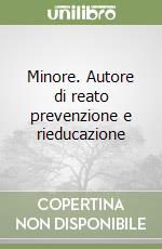 Minore. Autore di reato prevenzione e rieducazione libro