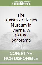 The kunsthistorisches Museum in Vienna. A picture panorama libro