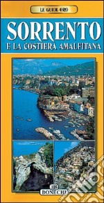 Sorrento e la Costiera amalfitana libro