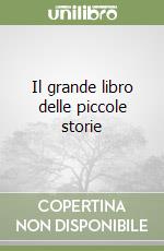 Il grande libro delle piccole storie libro