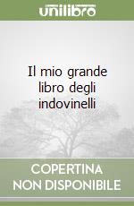 Il mio grande libro degli indovinelli libro