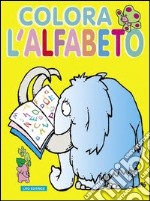 Colora l'alfabeto. Ediz. illustrata libro