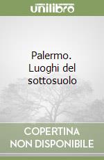 Palermo. Luoghi del sottosuolo libro