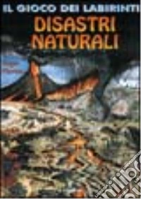 Disastri naturali libro