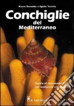 Conchiglie del Mediterraneo libro