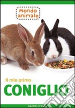 Il mio primo coniglio libro