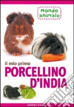 Il mio primo porcellino d'India libro