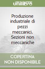 Produzione industriale di pezzi meccanici. Sezioni non meccaniche libro