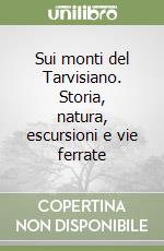 Sui monti del Tarvisiano. Storia, natura, escursioni e vie ferrate libro