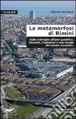 La metamorfosi di Rimini. Dalle botteghe all'iper galattico. Identità, tradizioni e non luoghi del nuovo consumo