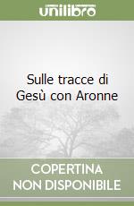 Sulle tracce di Gesù con Aronne libro