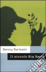 Il Piccolo big bang libro