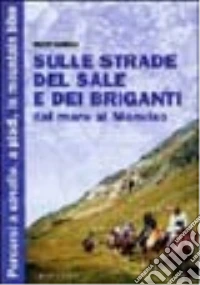 Sulle strade del sale e dei briganti. Dal mare al Monviso. Ediz. illustrata libro