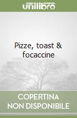 Pizze, toast & focaccine libro