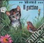 Il gattino