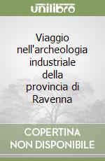 Viaggio nell'archeologia industriale della provincia di Ravenna libro