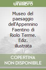 Museo del paesaggio dell'Appennino Faentino di Riolo Terme. Ediz. illustrata libro