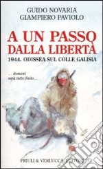 A un passo dalla libertà. 1944. Odissea sul colle Galisia... domani sarà tutto finito...