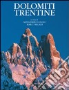 Dolomiti trentine. Ediz. illustrata libro