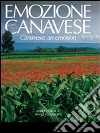 Emozione canavese. Ediz. italiana e inglese libro