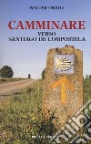 Camminare verso Santiago de Compostela libro di Orioli Walter