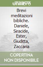 Brevi meditazioni bibliche. Daniele, Siracide, Ester, Giuditta, Zaccaria libro