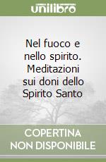 Nel fuoco e nello spirito. Meditazioni sui doni dello Spirito Santo libro