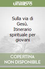 Sulla via di Gesù. Itinerario spirituale per giovani libro