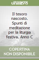 Il tesoro nascosto. Spunti di meditazione per la liturgia festiva. Anno C libro