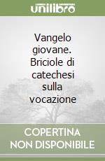 Vangelo giovane. Briciole di catechesi sulla vocazione libro