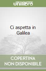 Ci aspetta in Galilea libro