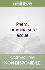 Pietro, cammina sulle acque libro
