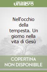 Nell'occhio della tempesta. Un giorno nella vita di Gesù libro