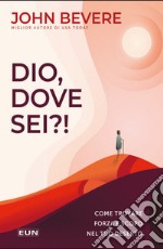 Dio dove sei?! Come trovare forza e scopo nel tuo deserto libro